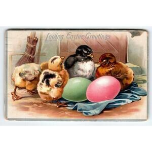 Easter Postcard Tuck 1910's Baby Chicks Painted Eggs Embossed Loving Greetings